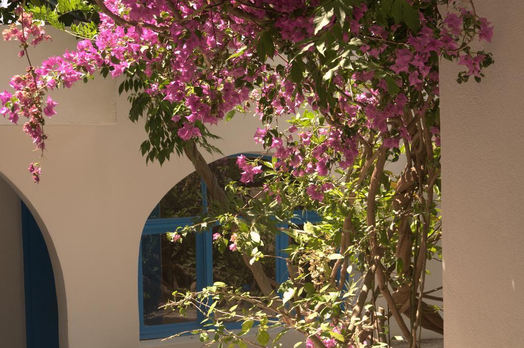 Pasalimani Hotel Çeşme Buitenkant foto